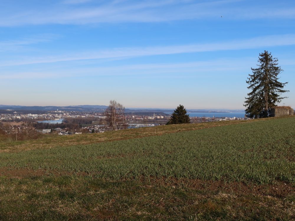 Blick Richtung Konstanz