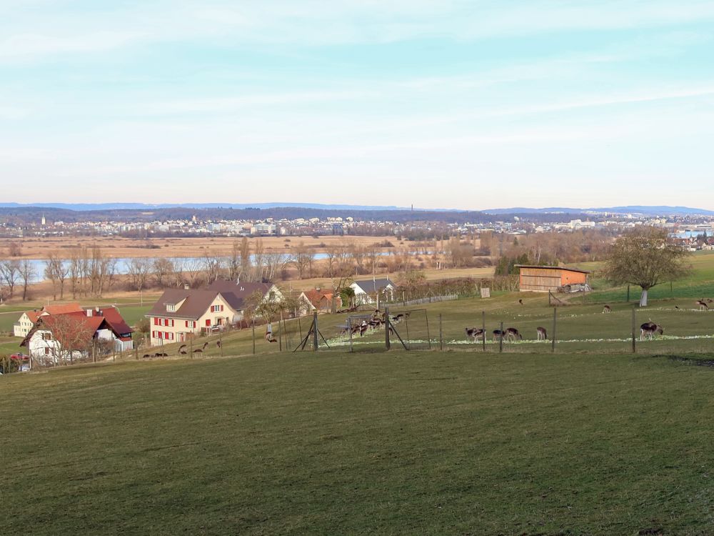 Triboltingen und Konstanz