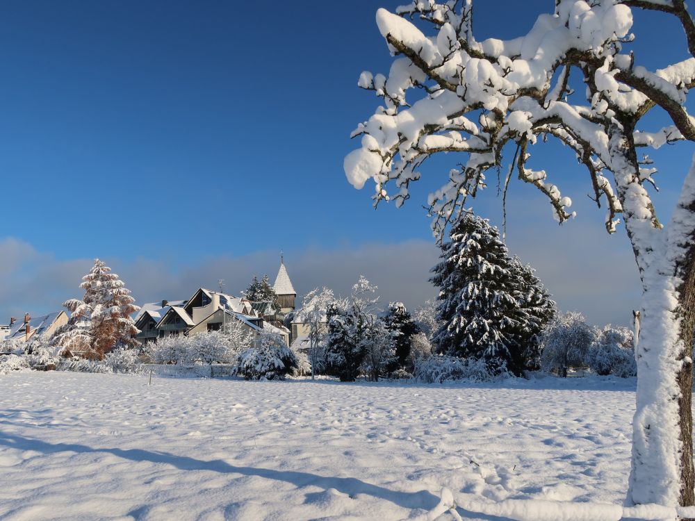 Blick Richtung Allmannsdorf