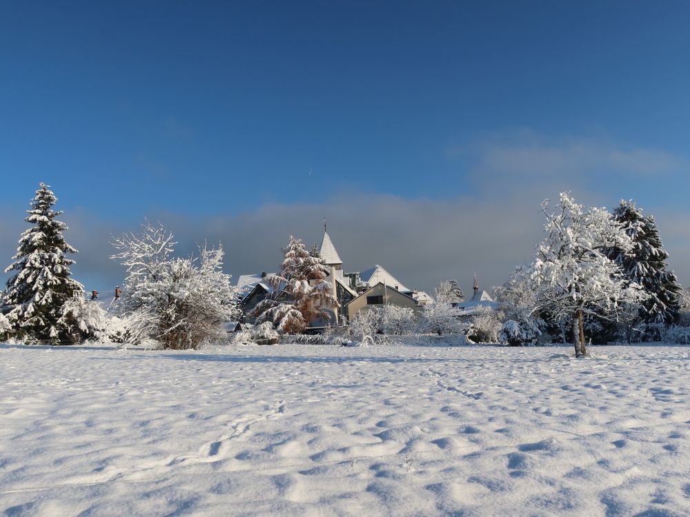 Blick Richtung Allmannsdorf