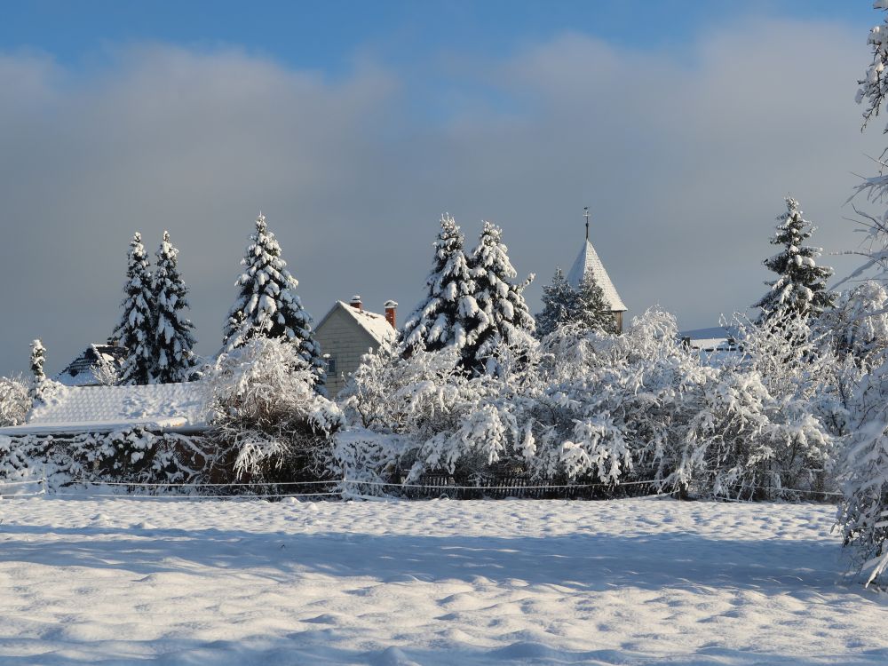 Blick Richtung Allmannsdorf