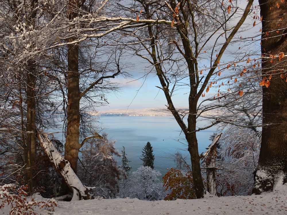 Überlingersee