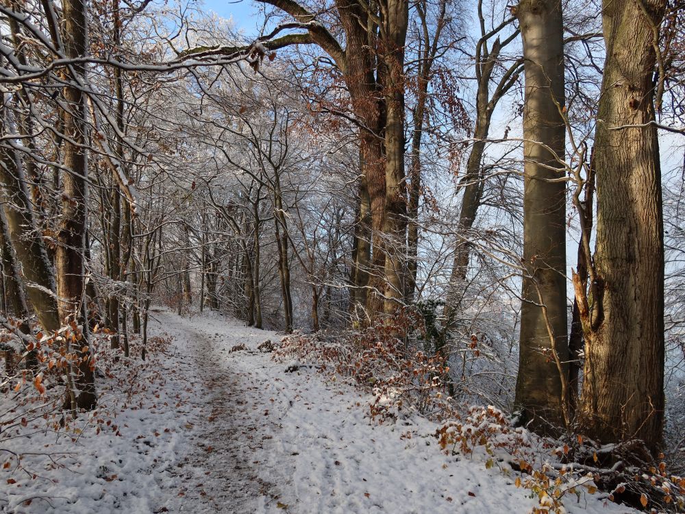 Bergpfad am Friedhof