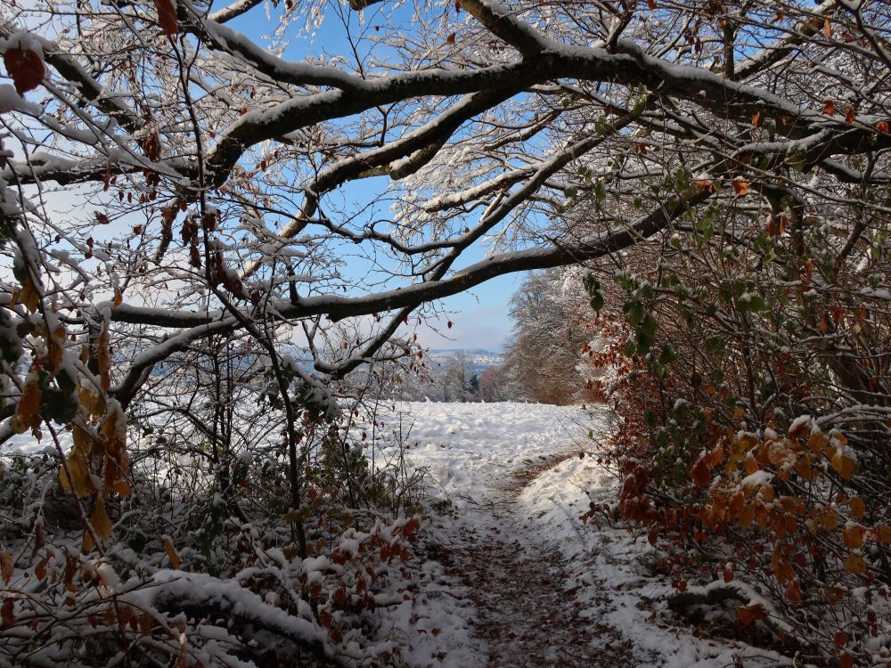 Bergpfad am Friedhof