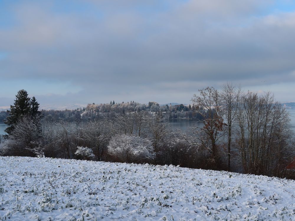 Blick Richtung Mainau