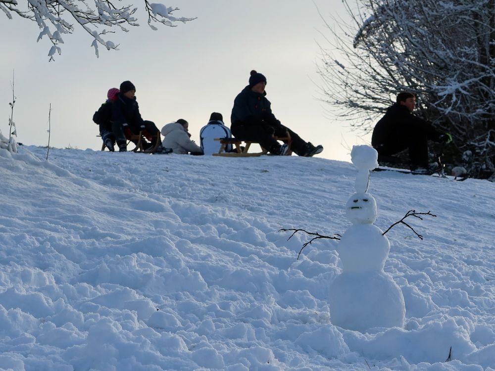 Schneemann und Rodler