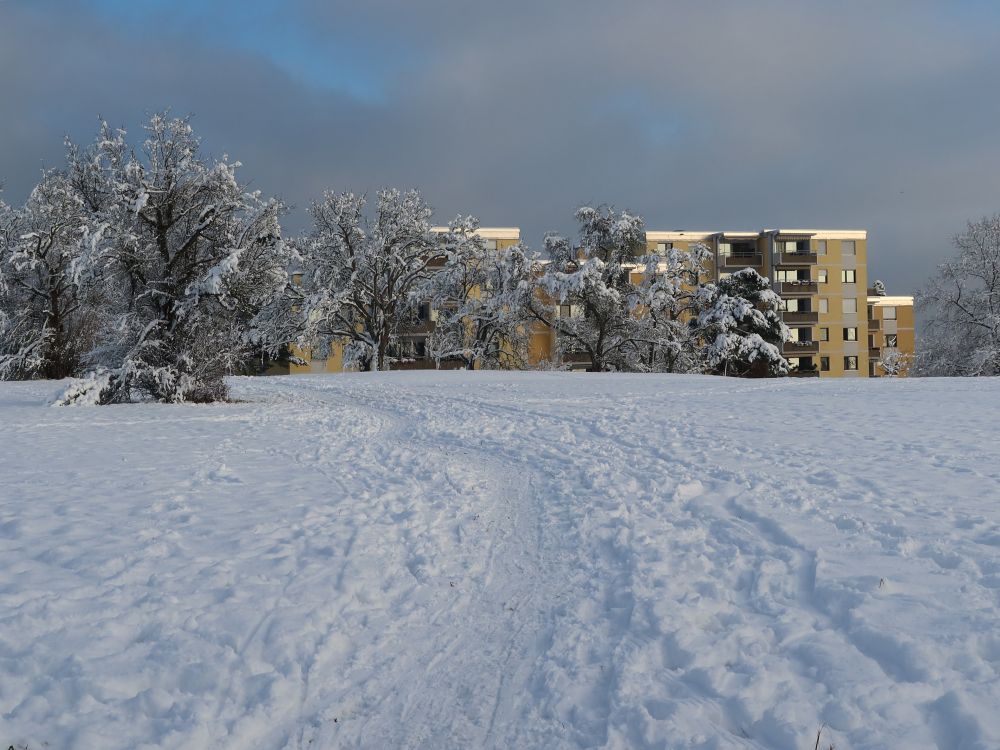 Wohnblock am Krähenberg