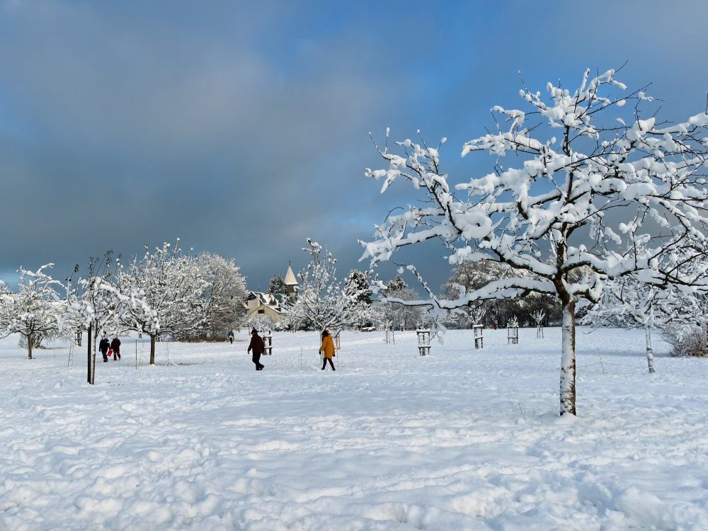 Blick Richtung Allmannsdorf