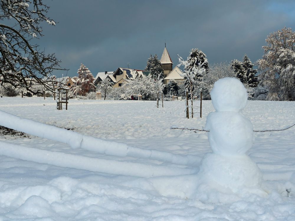 Blick Richtung Allmannsdorf und Schneemann