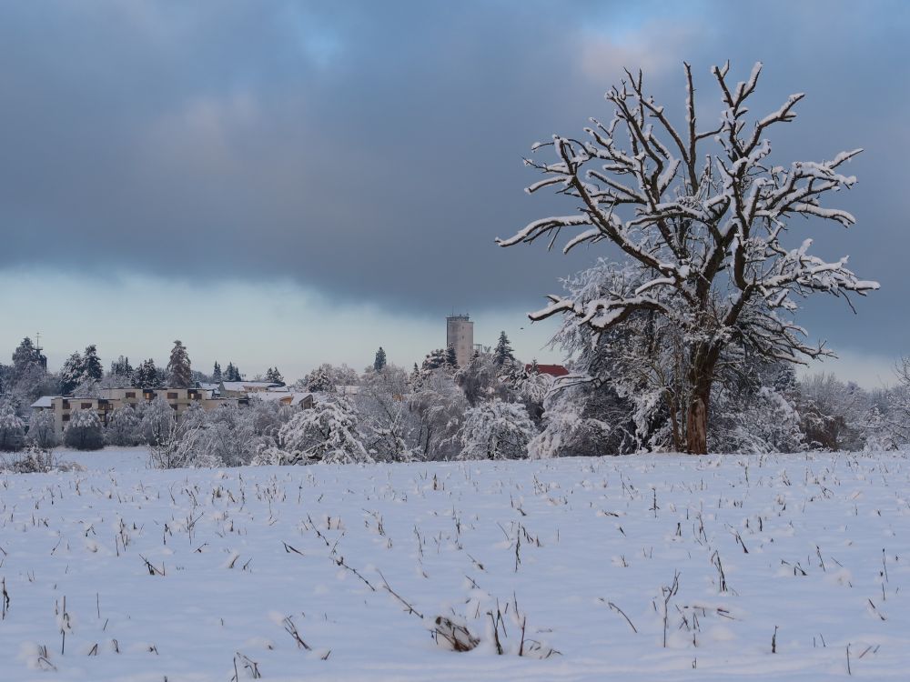 Jugendherbergsturm