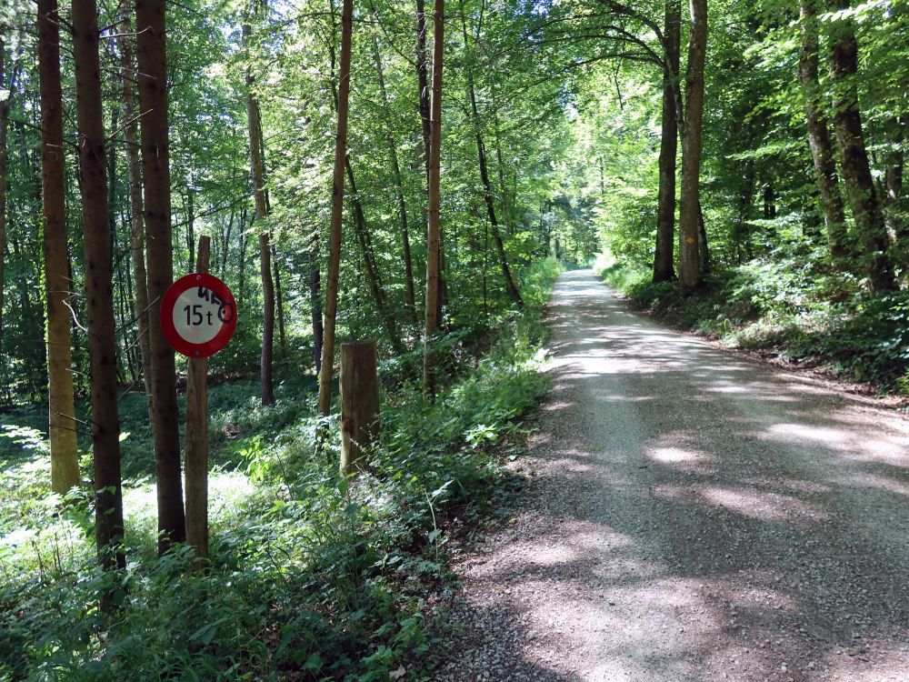 Waldweg