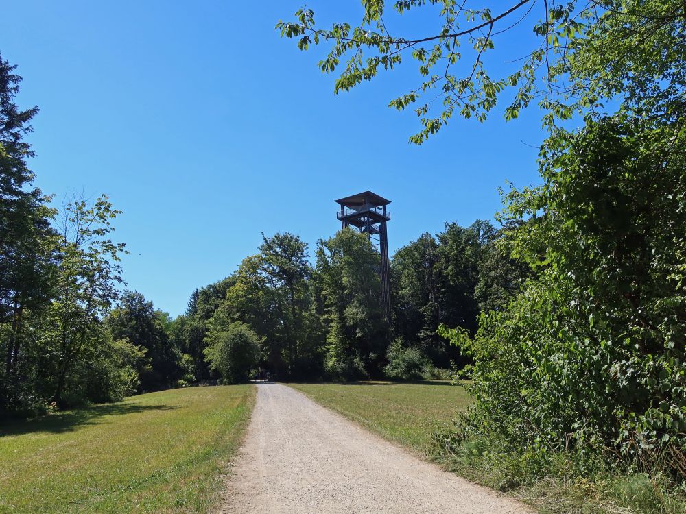 Aussichtsturm Altberg