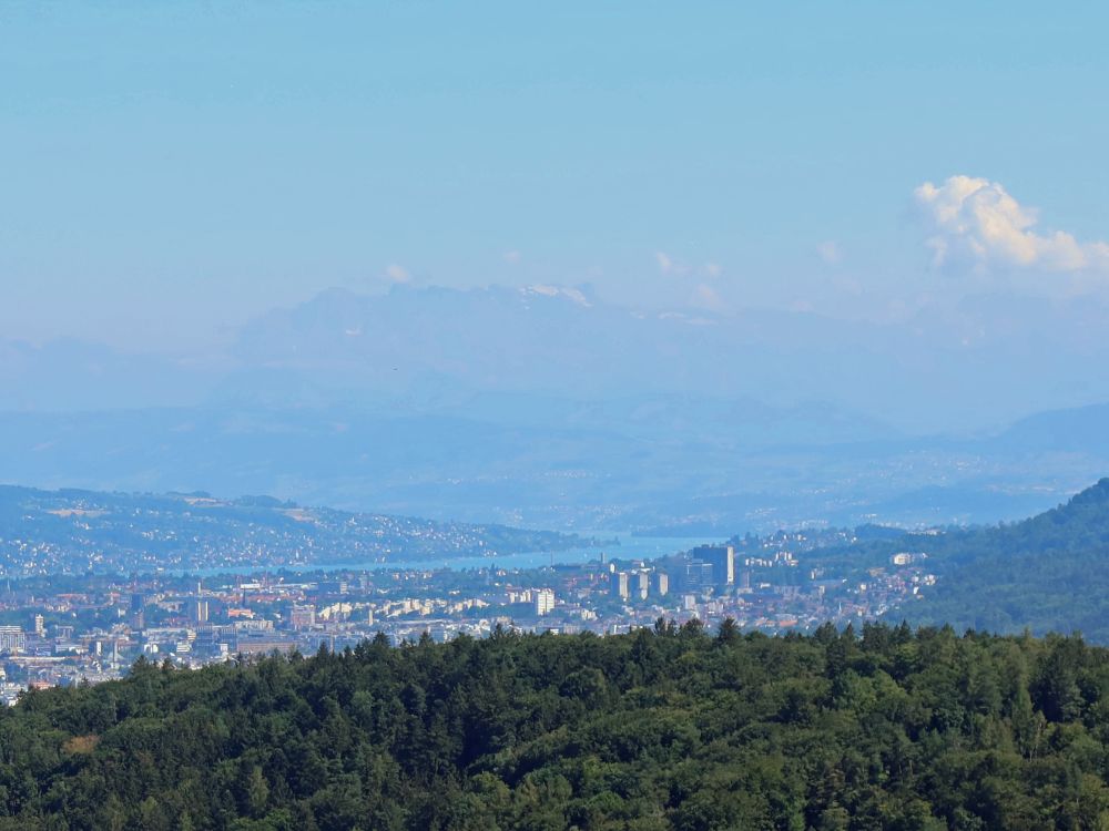 Zürich mit Zürichsee