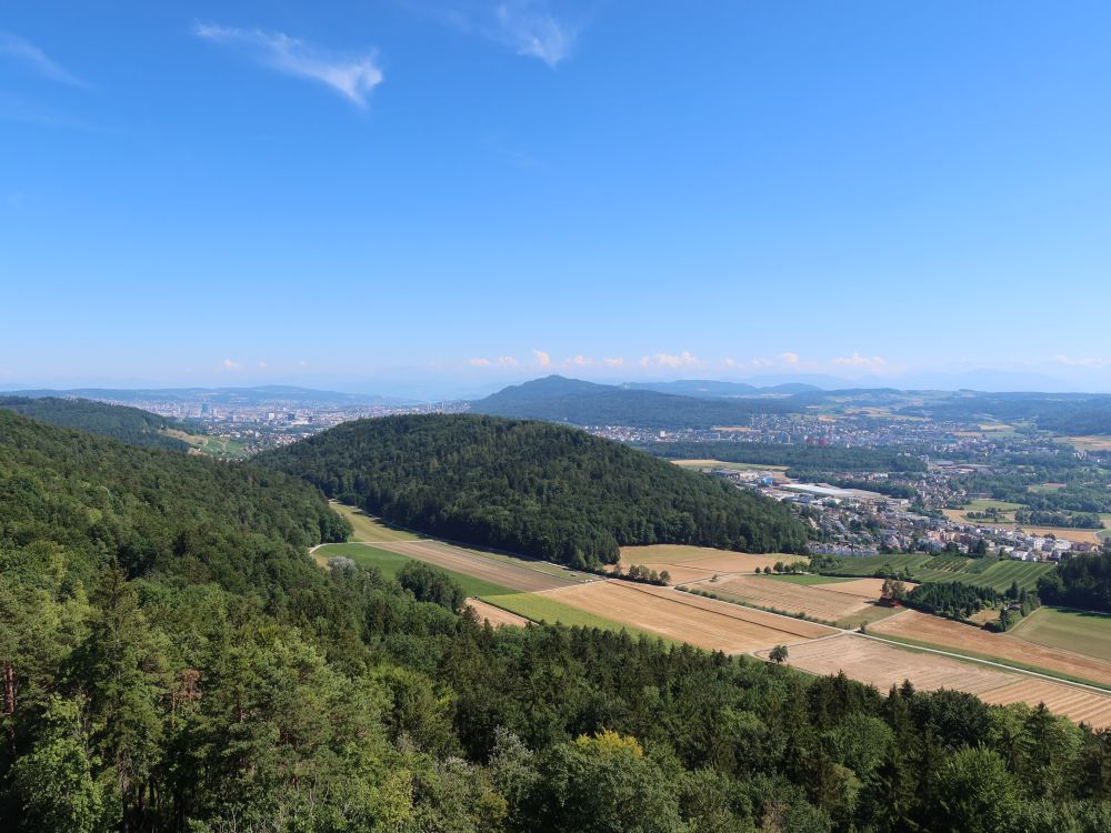 Zürich mit Uetliberg