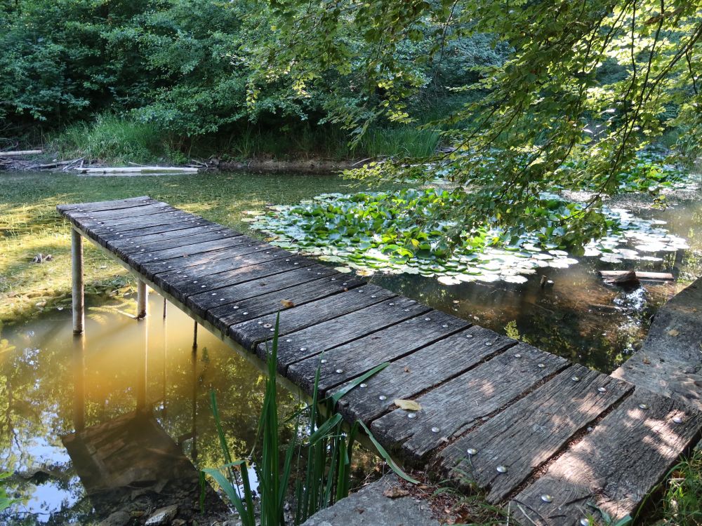 Steg am Feuerweiher