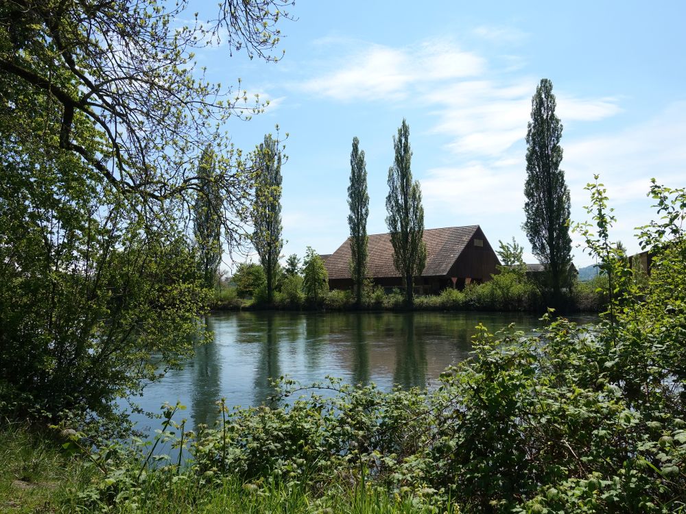 Blick über die Limmat