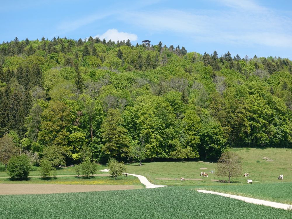 Altberg mit Aussichtsturm