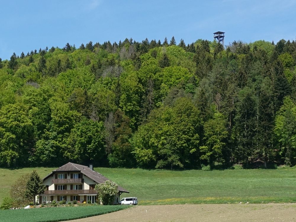 Bauernhog im Wiesentäli und Aussichtsturm Altberg