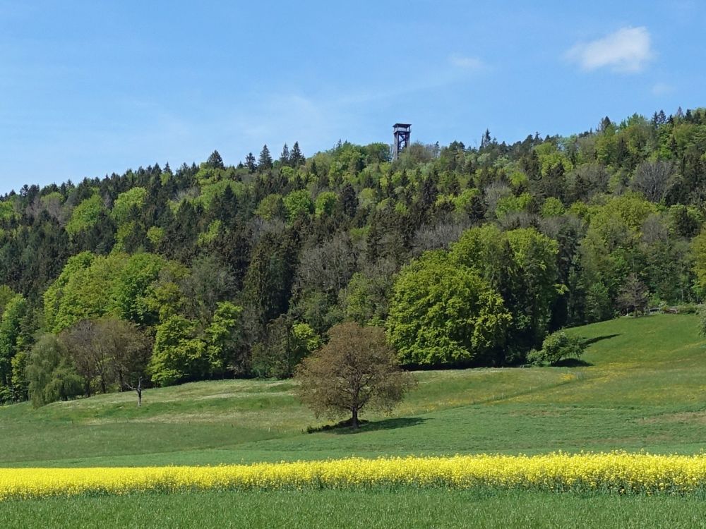 Altberg mit Aussichtsturm