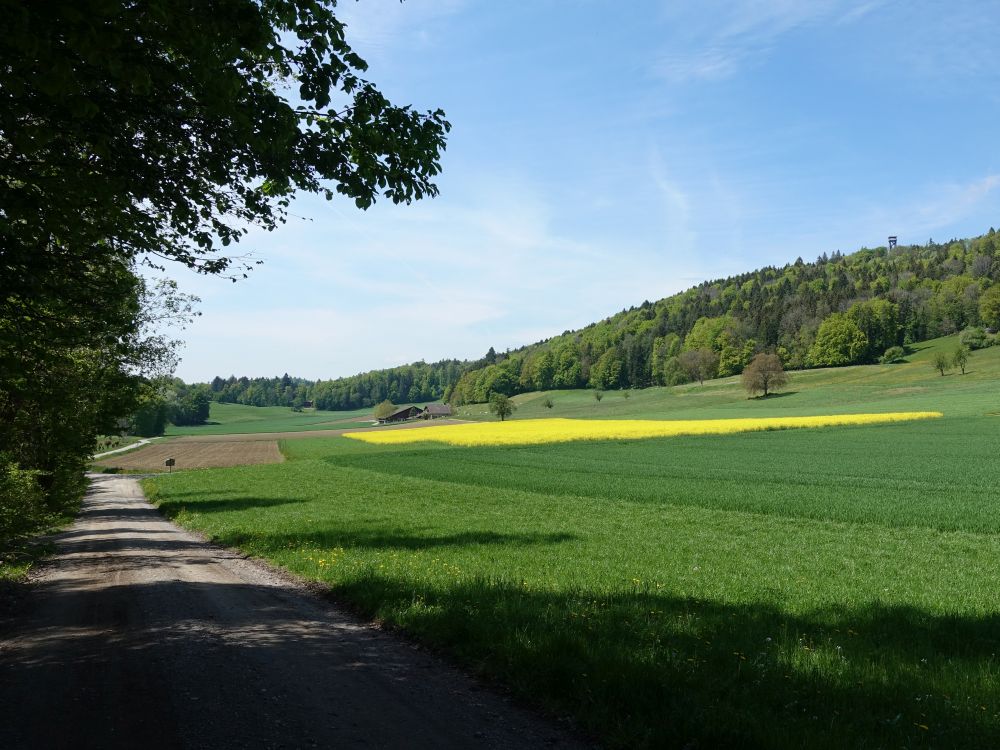 Bauernhof im Wiesentäli