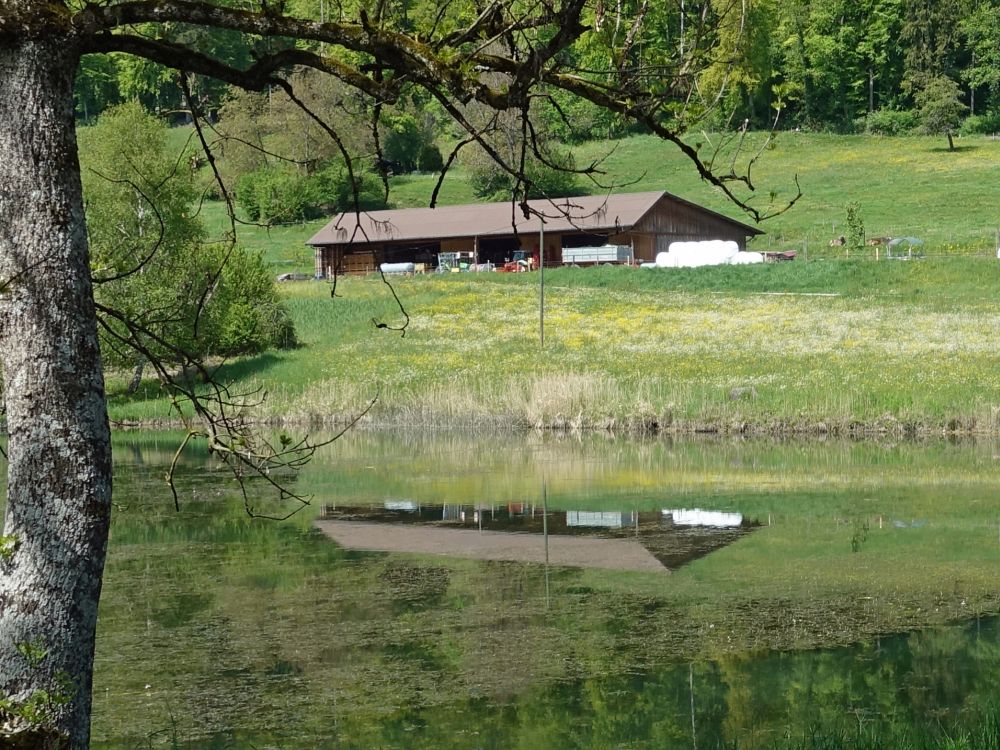 Bauernhof am Grossen Weier