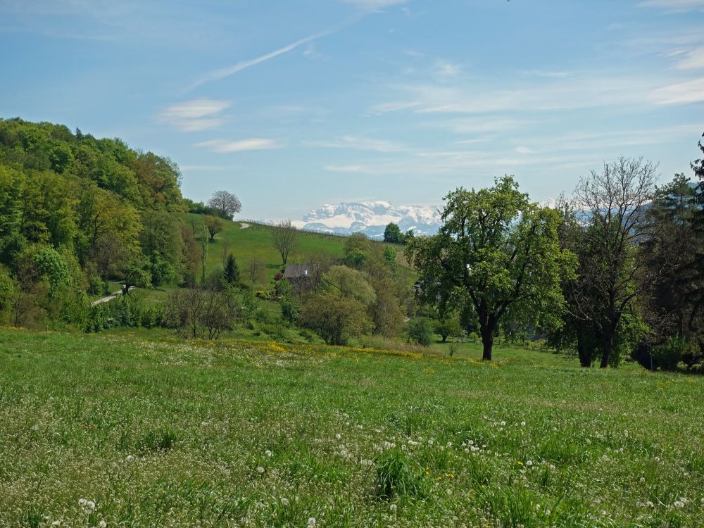 Forbüel und Alpenblick