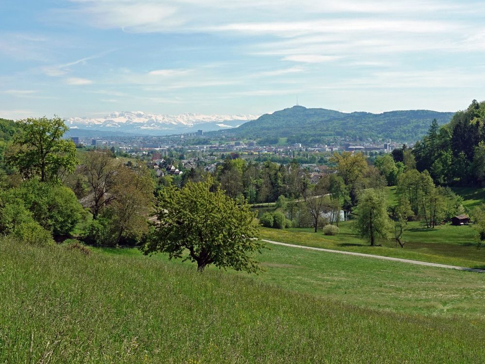 Alpen und Uetliberg