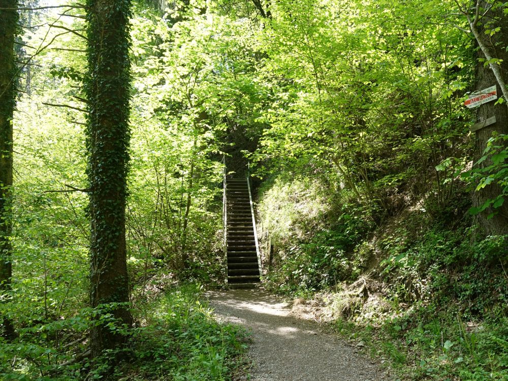 Treppe am Michel Steig