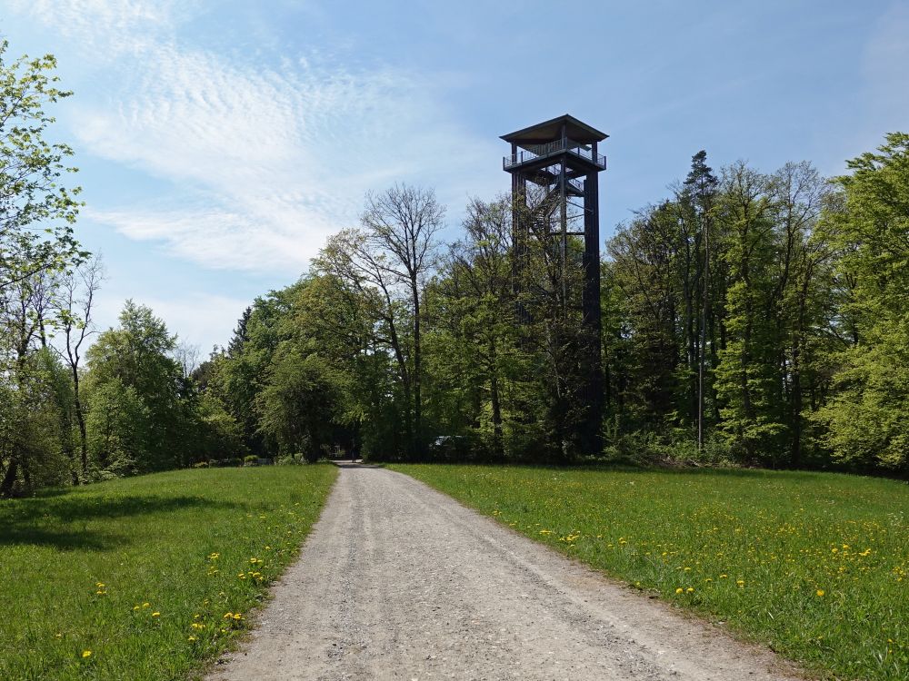 Aussichtsturm Altberg