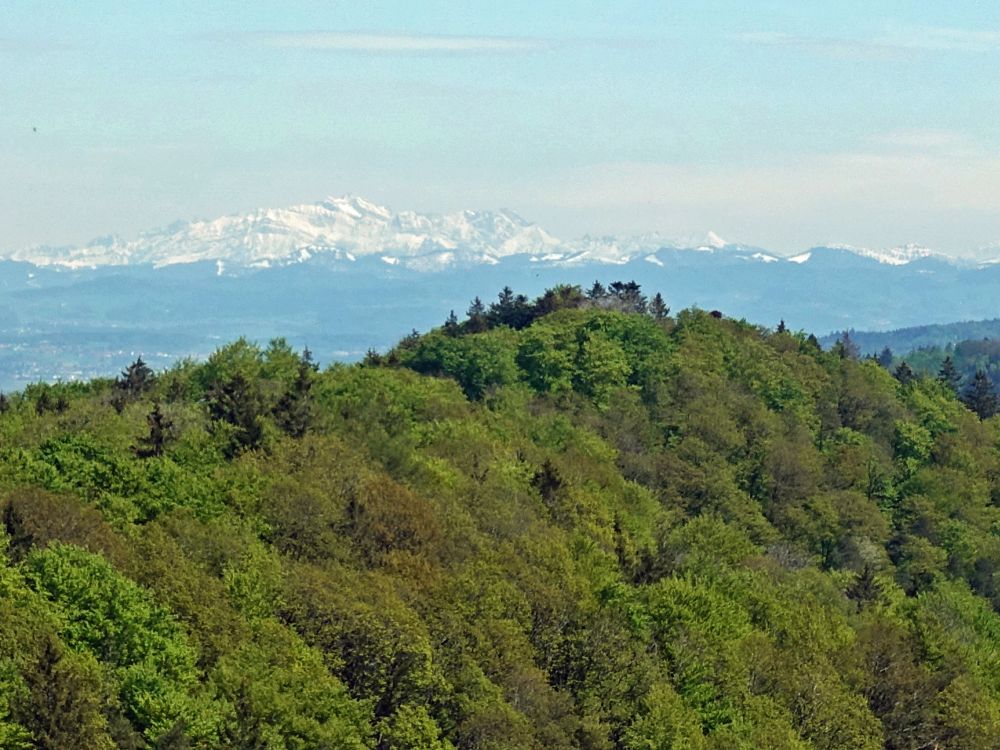 Blick Richtung Säntis