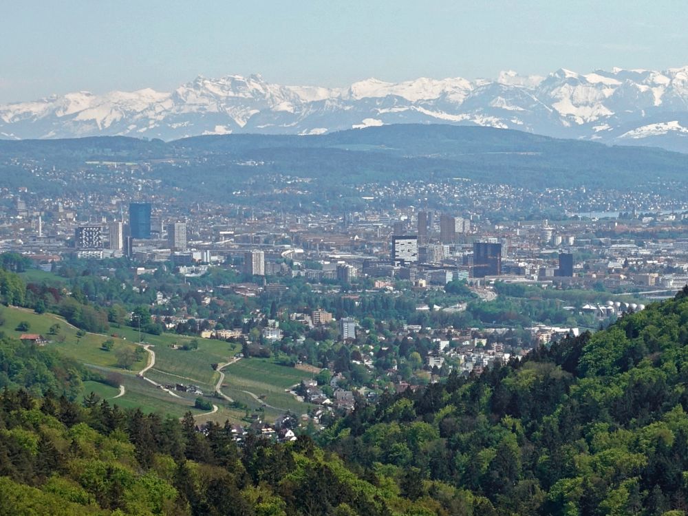 Zürich und Alpen