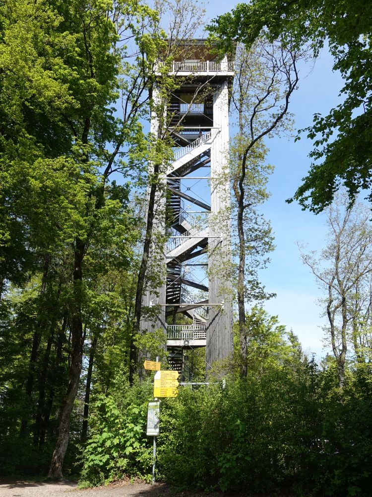 Aussichtsturm Altberg