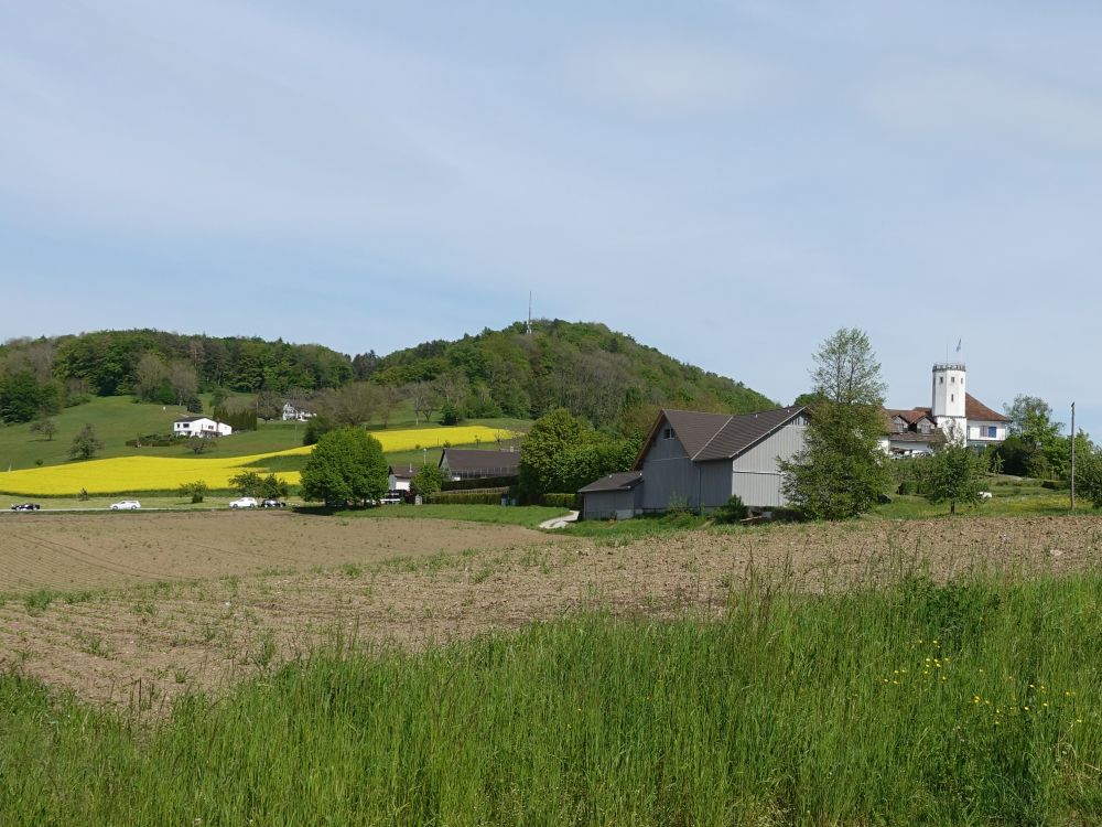 Gipf bei Würenlos