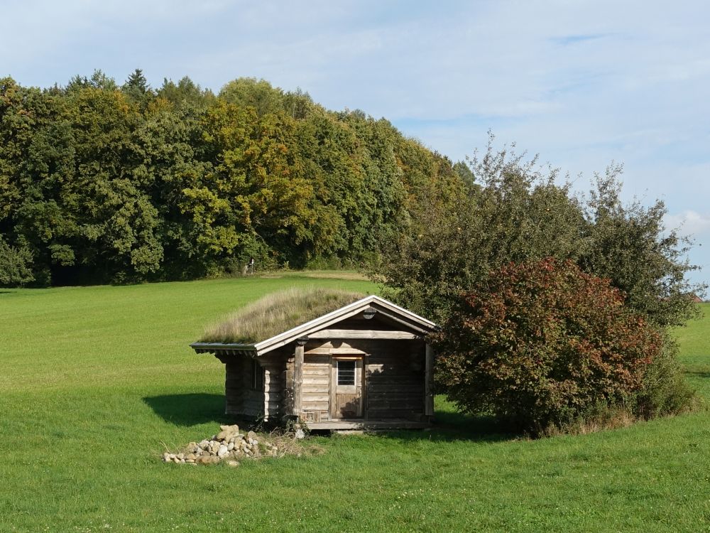 Hütte mit Grasdach
