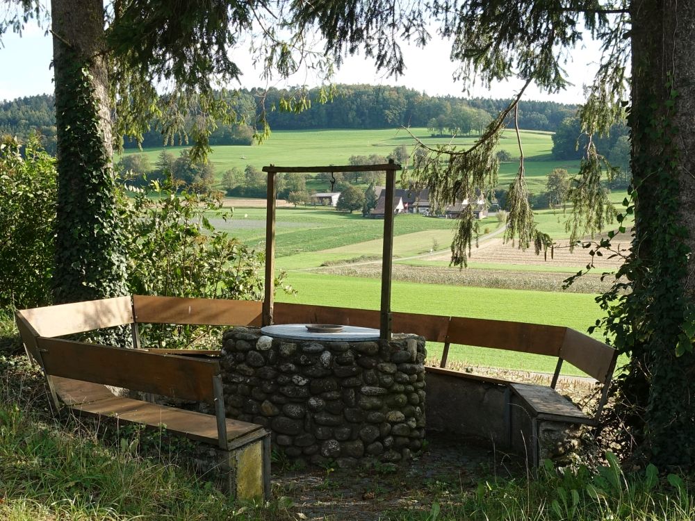 Sitzplatz bei Altenburg mit Blick auf Wald