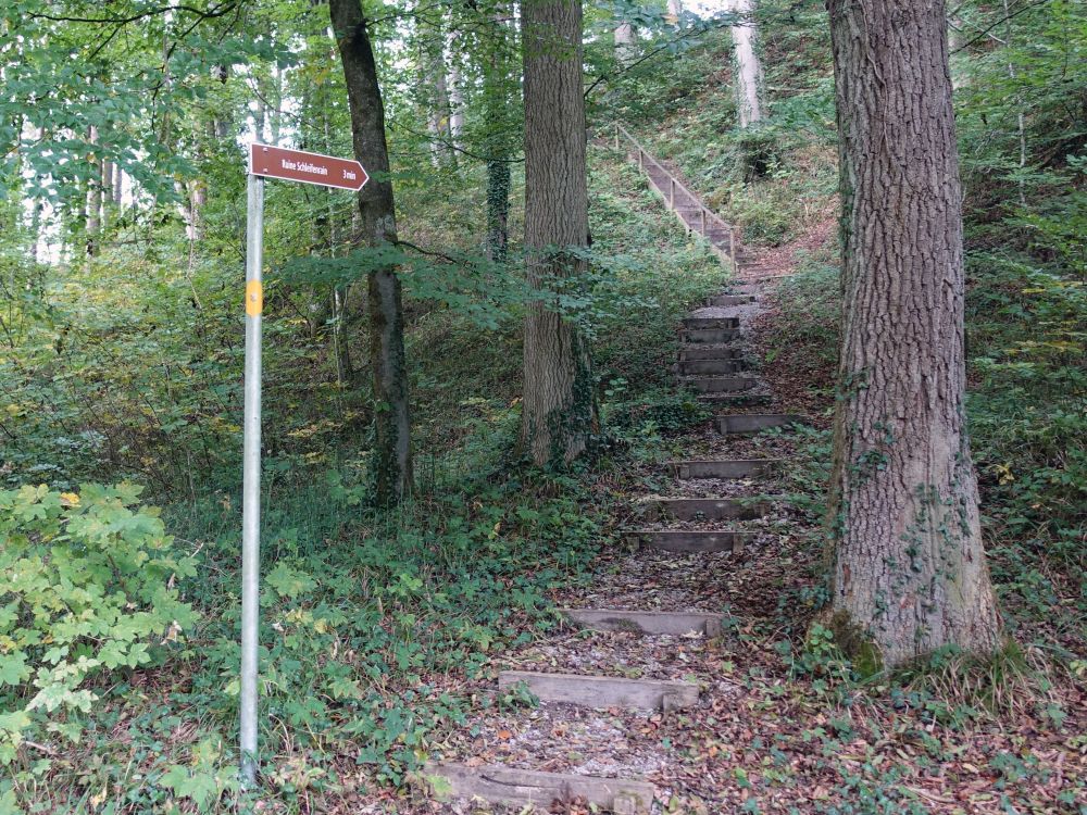 Treppe zur Burgruine Schleifenrain