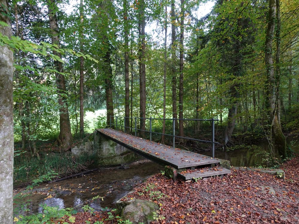 Steg über den Chemebach bei Wässerwis