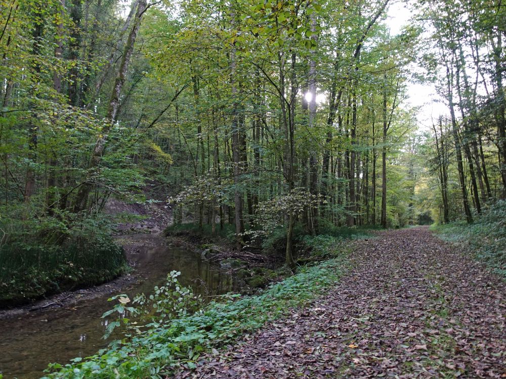 Weg am Chemebach