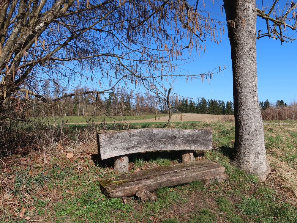 Sitzbank