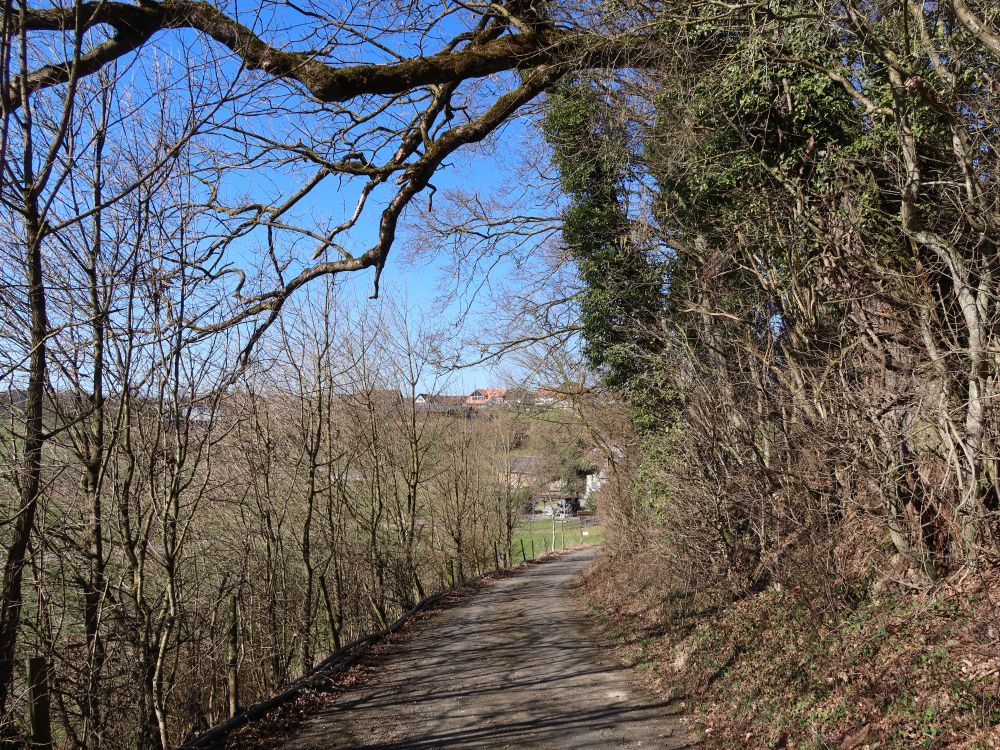 Weg bei Grubmühle