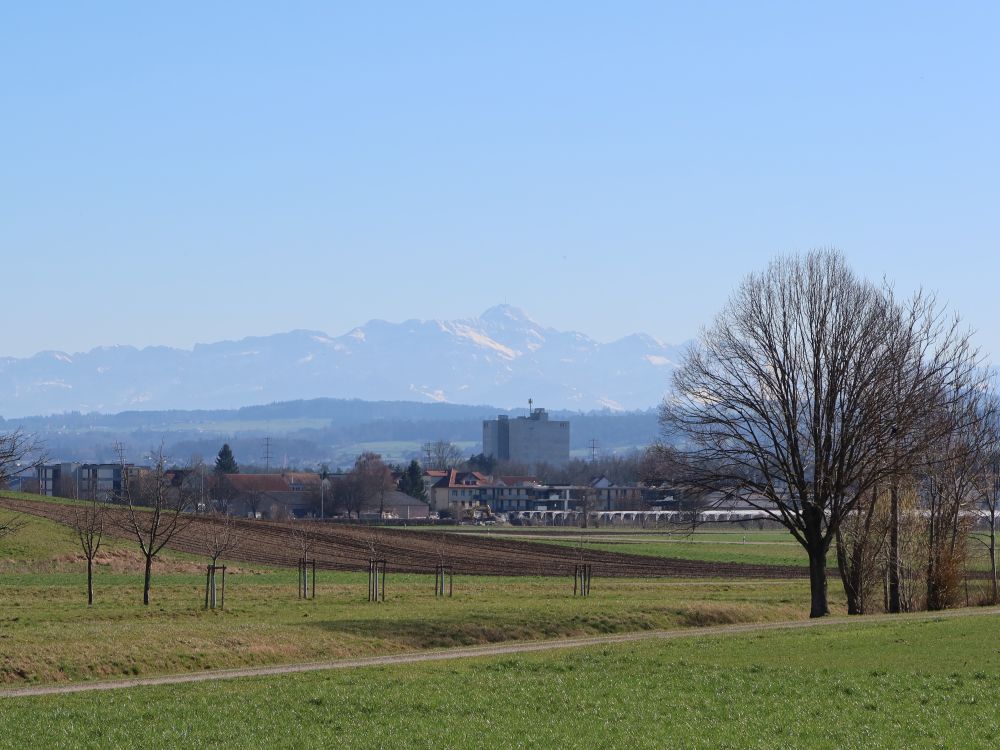 Säntis im Dunst
