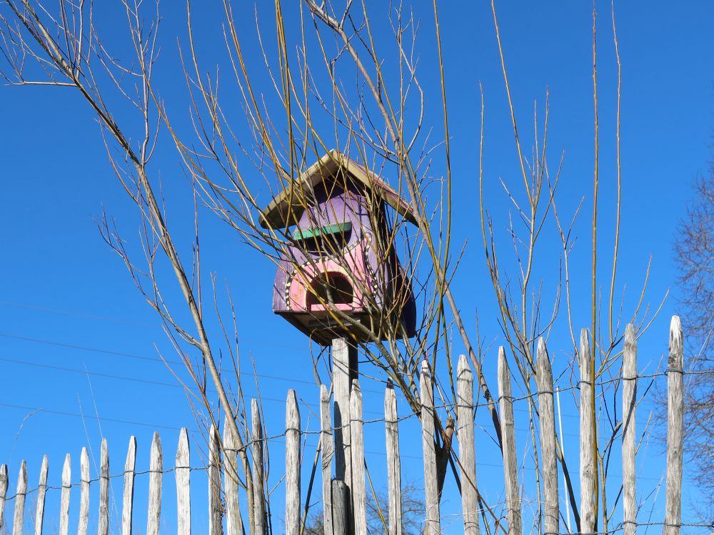 Vogelhäuschen
