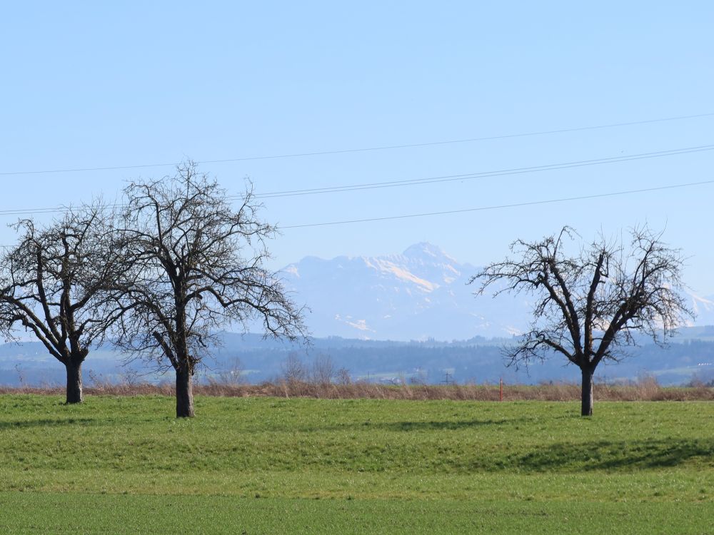Säntis im Dunst