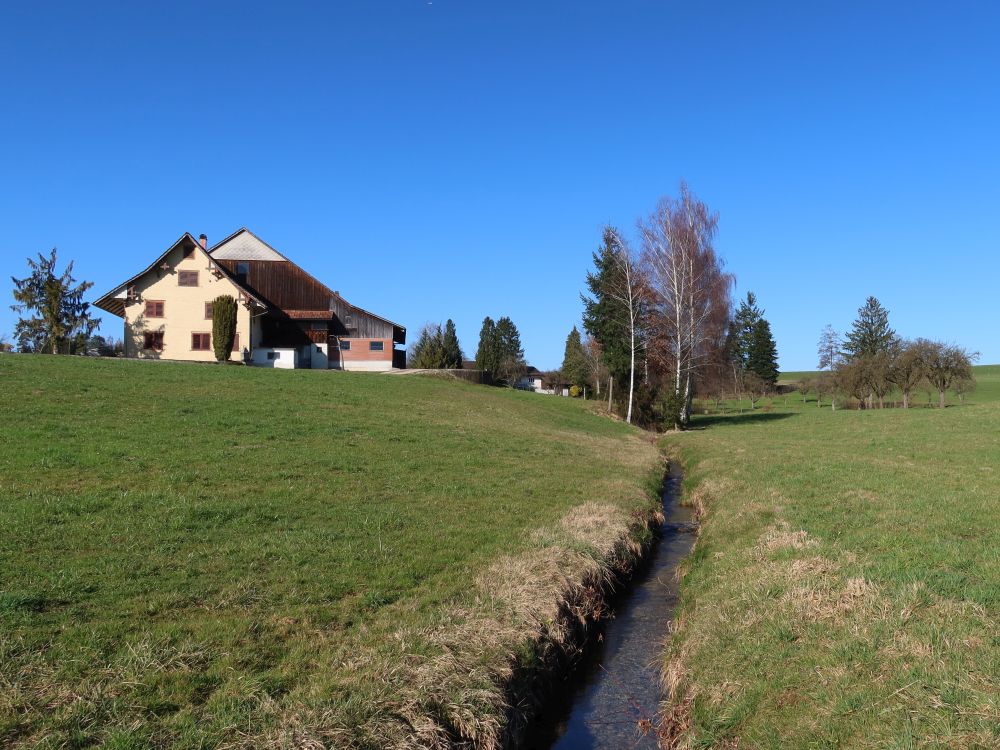 Hoferbach