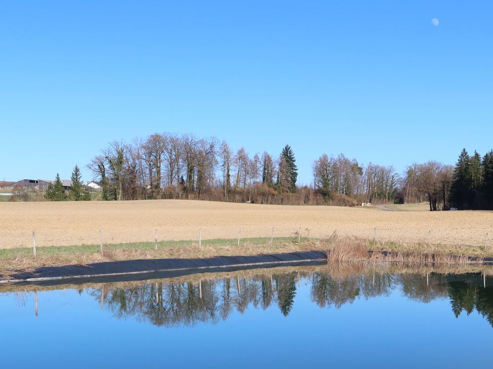 künstlicher Teich