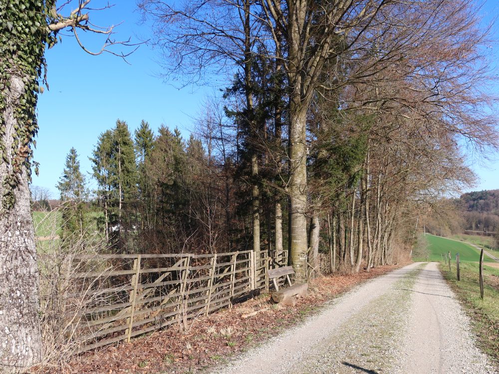 Im Rüüteli
