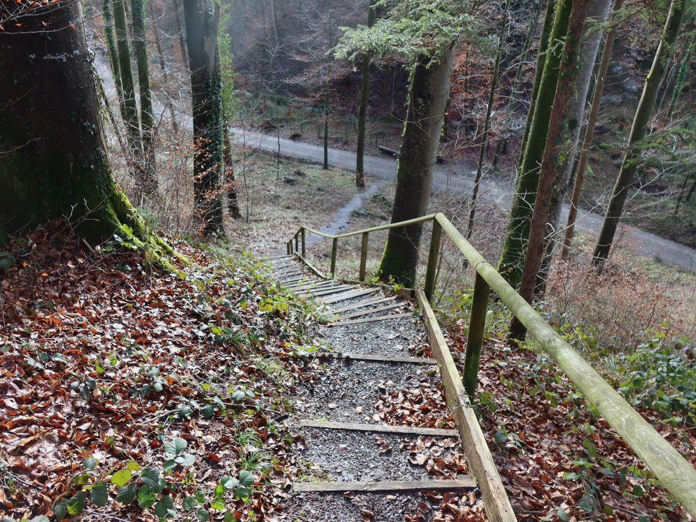 Treppe zur Ruine Schleifenrain