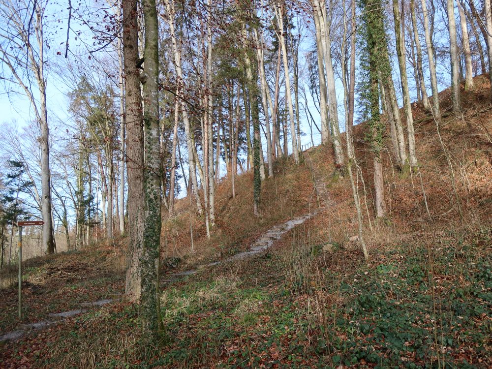 Treppe zur Ruine Schleifenrain