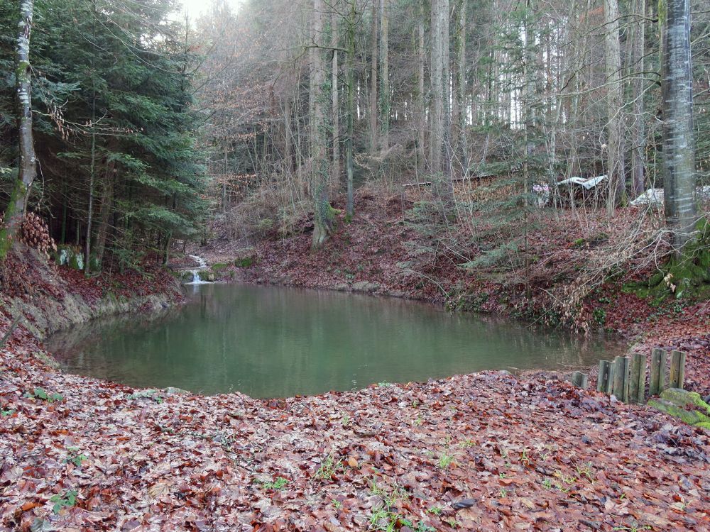 Teich am Moonshusertobel