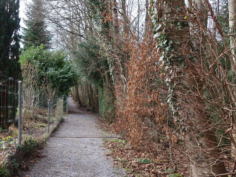 Wanderweg am Ortsrand von Otoberg